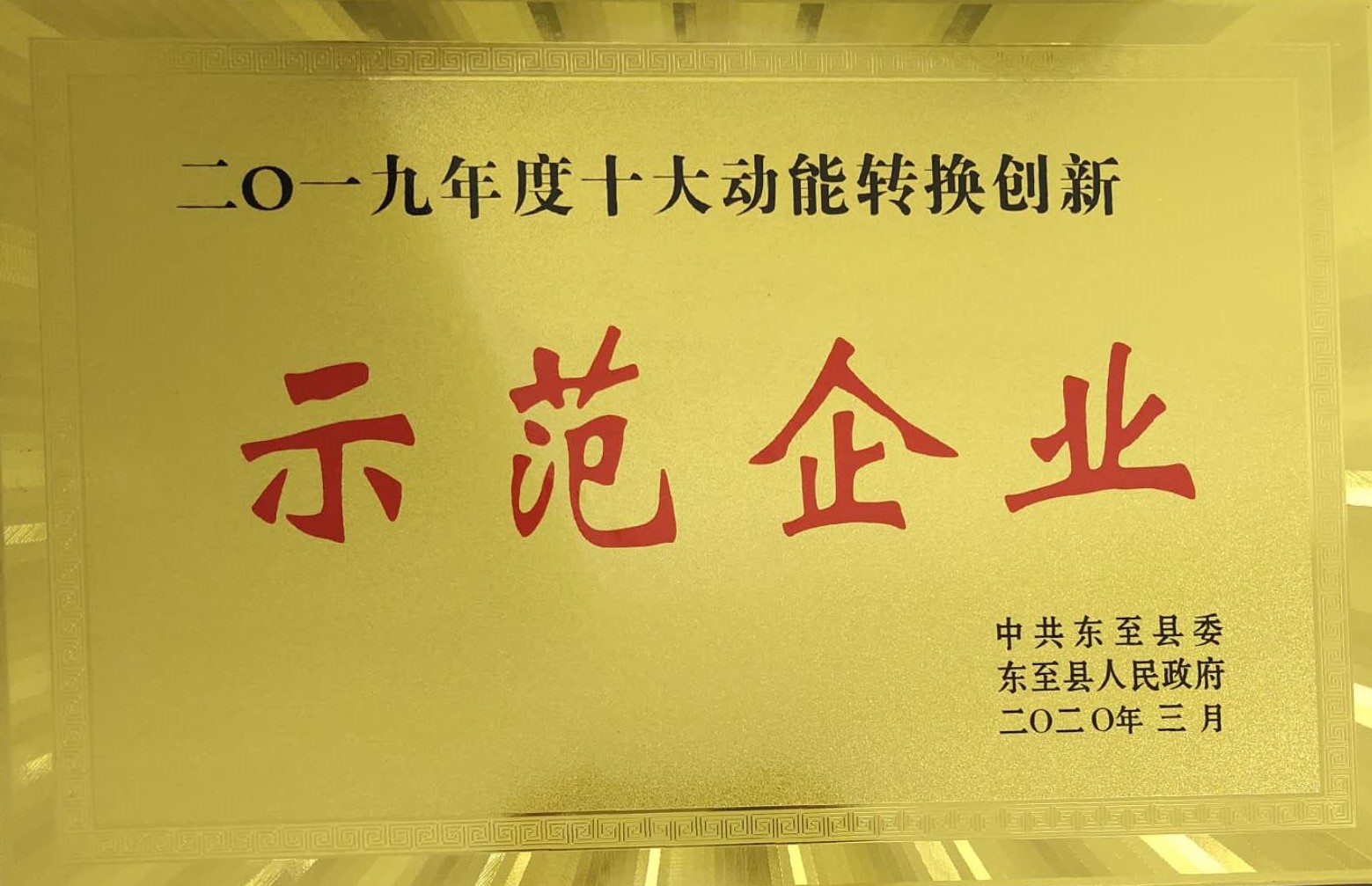 祝賀嘉智信諾榮獲東至縣“二〇一九年度十大動能轉換創(chuàng)新示范企業(yè)”